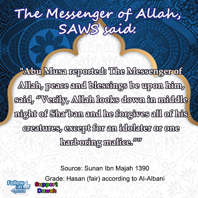 Shaban4