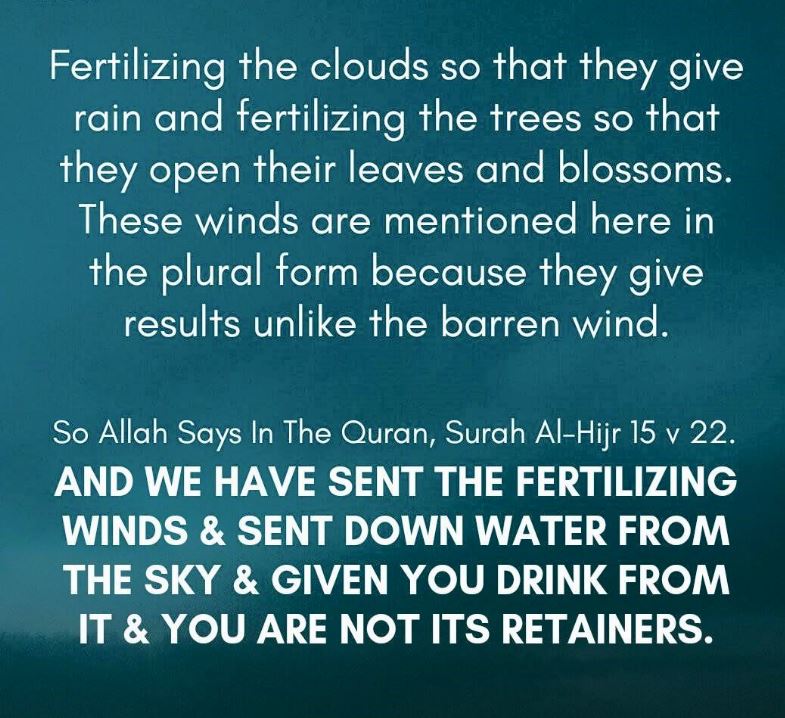 winds