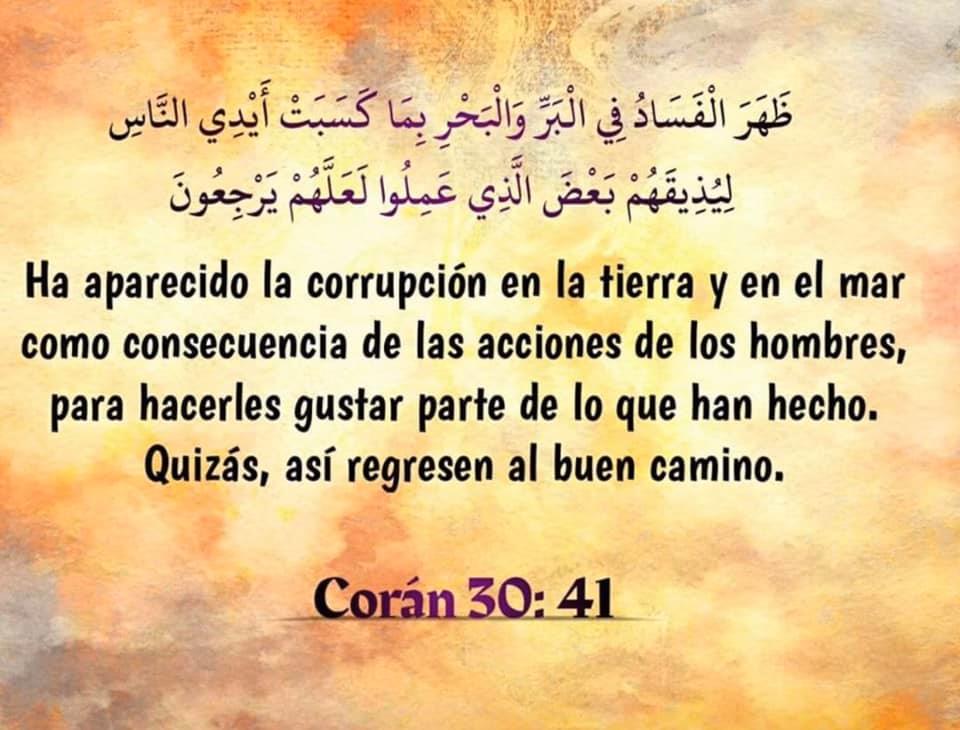 90369245 2980126115409014 5552580312074027008 n