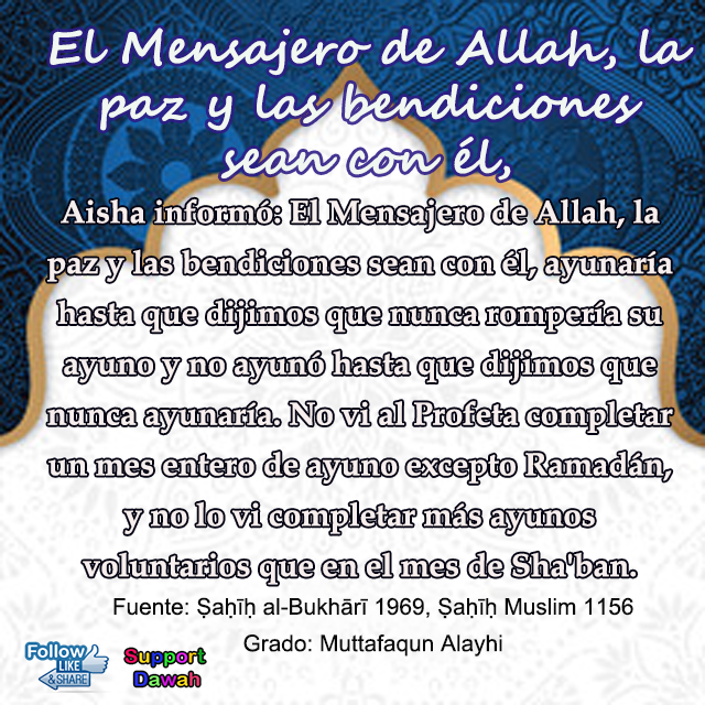 Shaban3