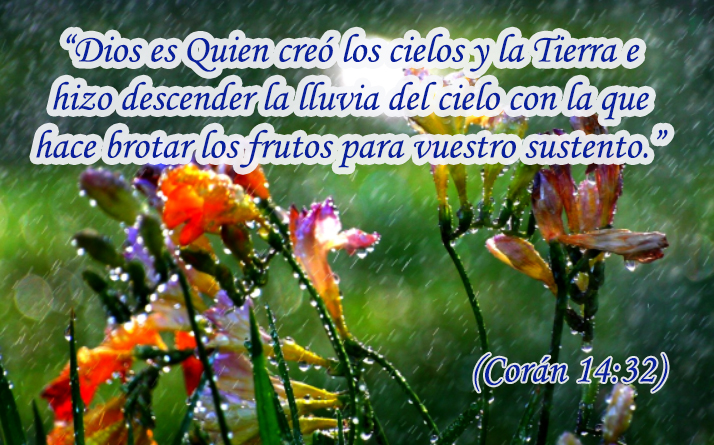 rain123