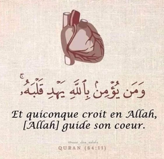 heart22