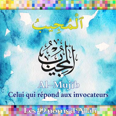 AlMujeeb